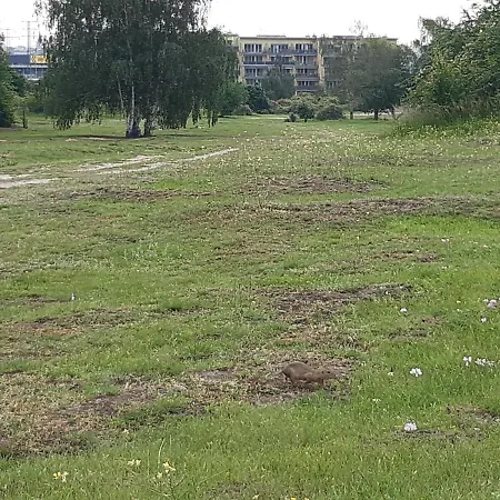 Park Radouc - 60m2 Appartement Mladá Boleslav