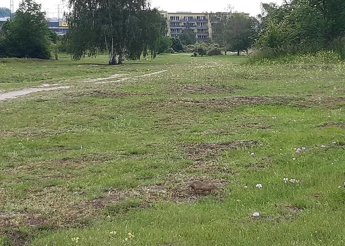 Park Radouc - 60m2 Lägenhet Mladá Boleslav